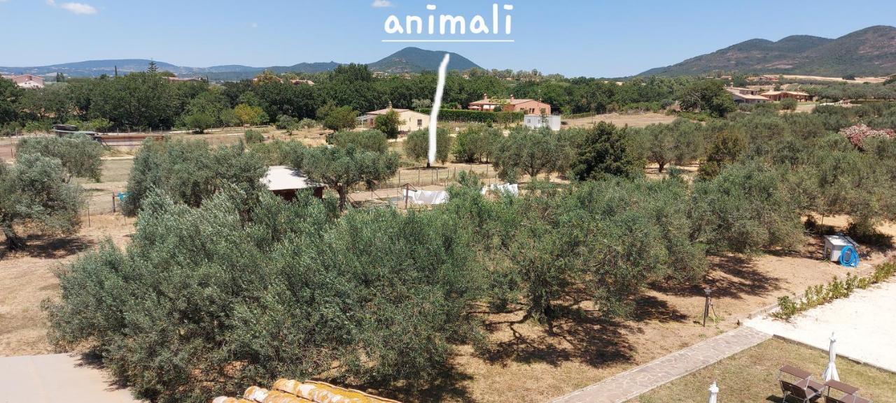 Villa Klinai Cerveteri Buitenkant foto
