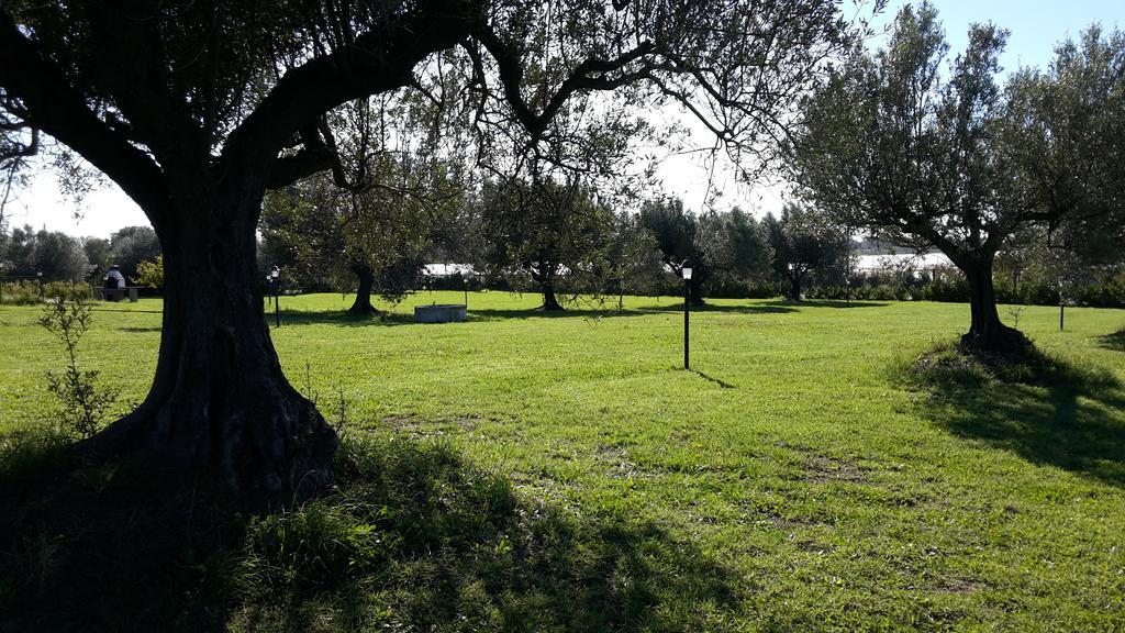 Villa Klinai Cerveteri Buitenkant foto